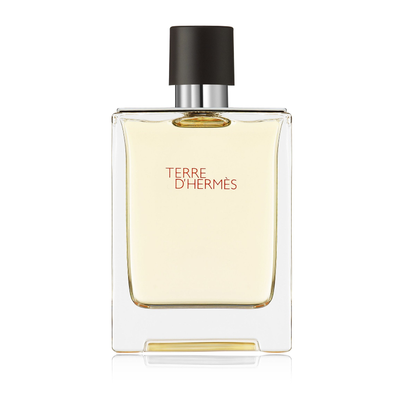 Hermes Terre D’Hermes For Men Eau De Toilette 100ml Tester at Ratans Online Shop - Perfumes Wholesale and Retailer Fragrance