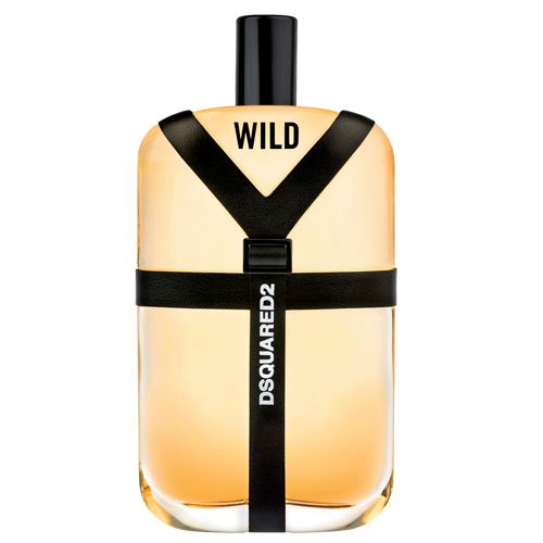 DSquared2  Wild for Men 100ml EDT at Ratans Online Shop - Perfumes Wholesale and Retailer Deodorants 2
