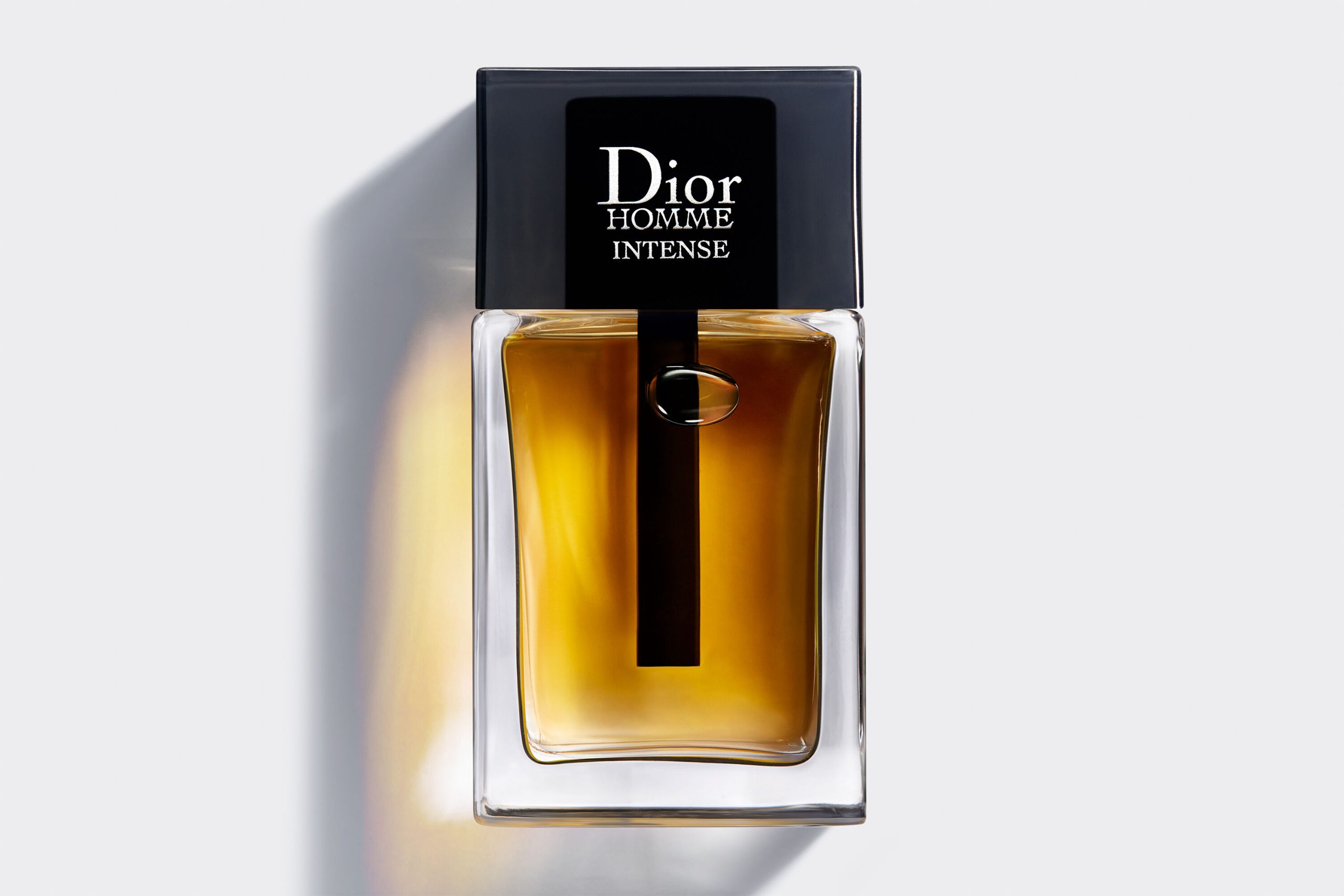 Christian Dior Homme Intense For Men Eau De Parfum EDP 100ml at Ratans Online Shop - Perfumes Wholesale and Retailer Fragrance